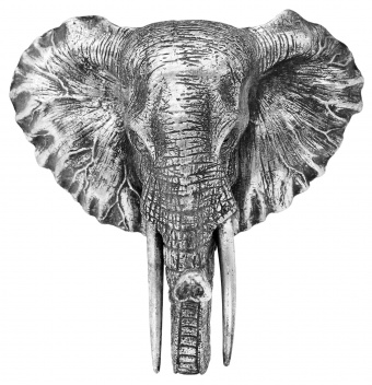 Слон висить Орнамент