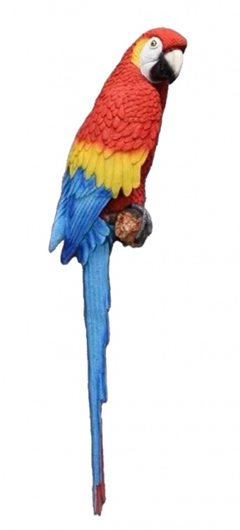 Dekoracja Ścienna Papuga